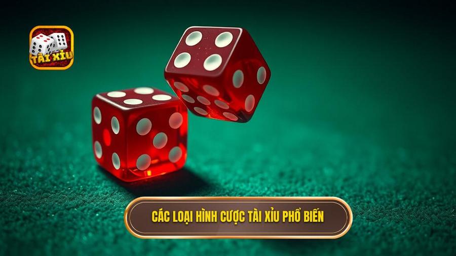2. Các loại hình cược Tài Xỉu phổ biến