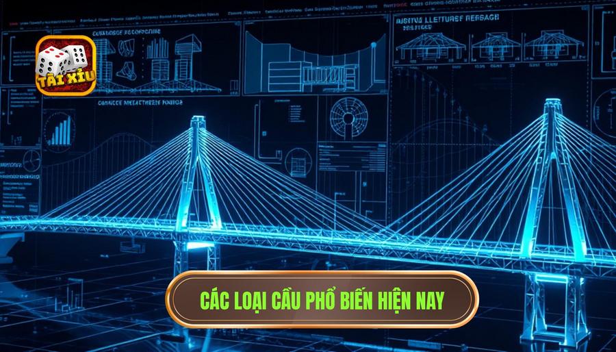 Phân tích chi tiết những loại cầu phổ biến nhất hiện nay